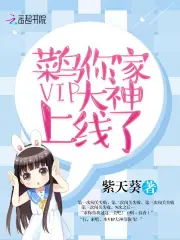 菜鸟你家VIP大神上线了